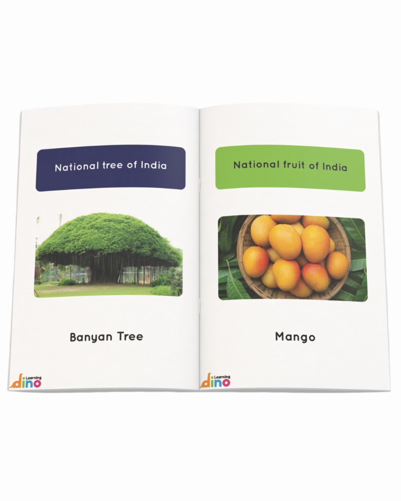 3 in 1 All About India Kit | General Knowledge (GK) Kit For Kids (Ages 3-10 years)