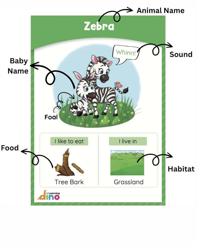 All About Animal Flashcards - Animal Flashcards For Kids (Ages 3-8 years)