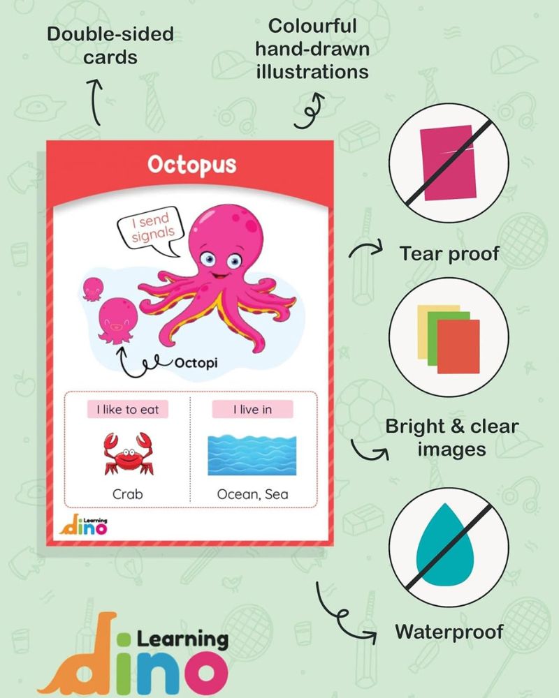 All About Animal Flashcards - Animal Flashcards For Kids (Ages 3-8 years)