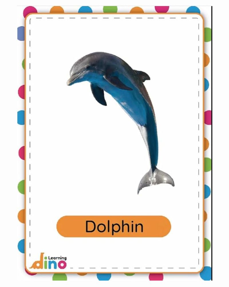 EARLY LEARNING FLASHCARDS