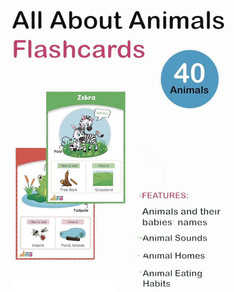 All About Animal Flashcards - Animal Flashcards For Kids (Ages 3-8 years)