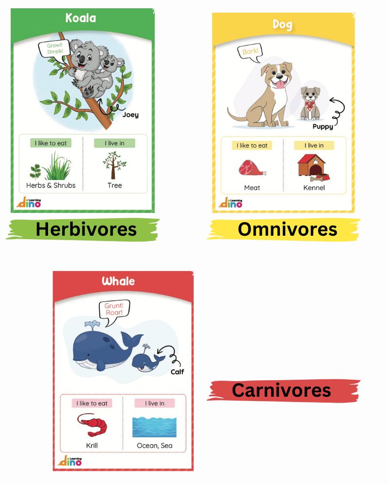 All About Animal Flashcards - Animal Flashcards For Kids (Ages 3-8 years)